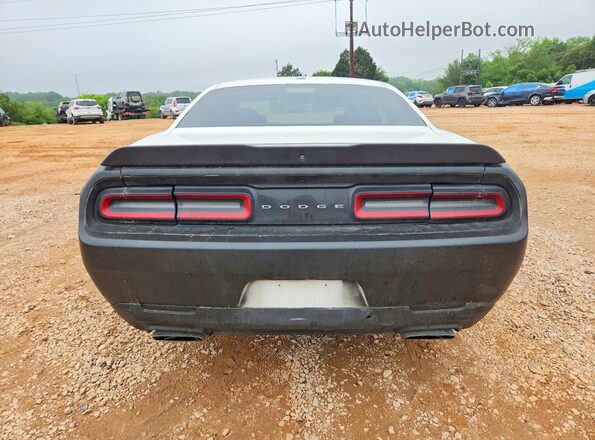 2C3CDZFJXJH224013 2018 DODGE CHALLENGER White Rear view