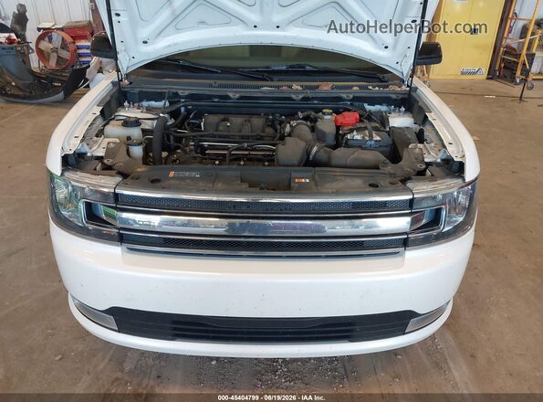 2FMGK5C8XKBA31776 2019 FORD FLEX White Вид ззаду