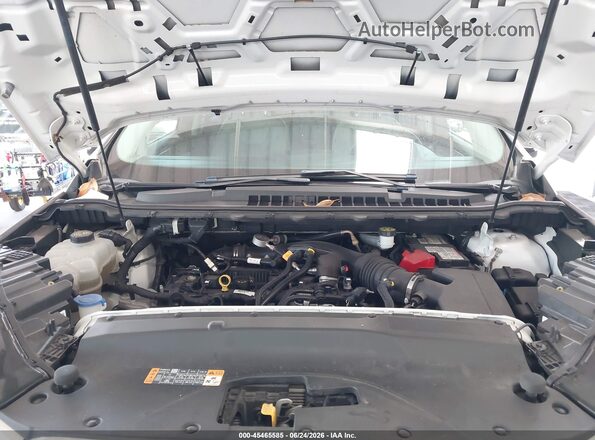 2FMPK3K91LBA66870 2020 FORD EDGE White Widok z tyłu