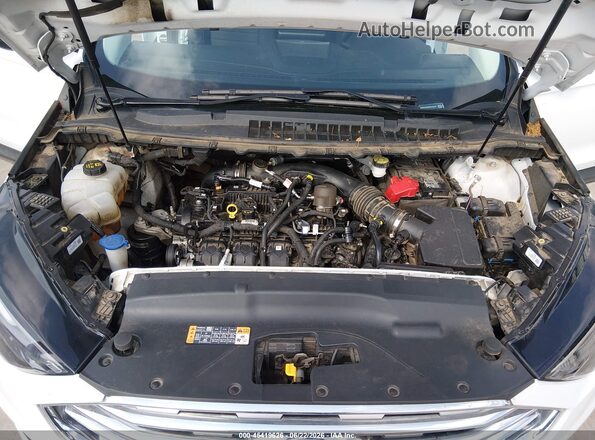 2FMPK4G96NBA43554 2022 FORD EDGE White Widok z tyłu