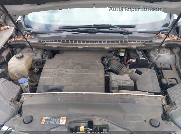 2FMPK4J81HBC69246 2017 FORD EDGE Champagne უკანა ხედი