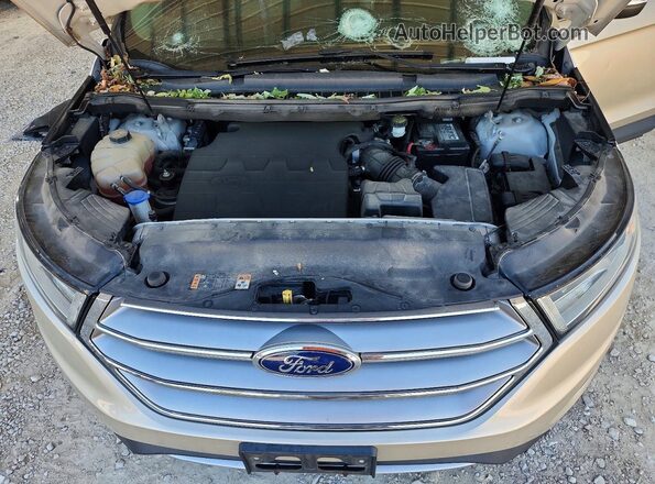 2FMPK4J84HBC04178 2017 FORD EDGE Tan Շարժիչի բաժամունքի տեսք