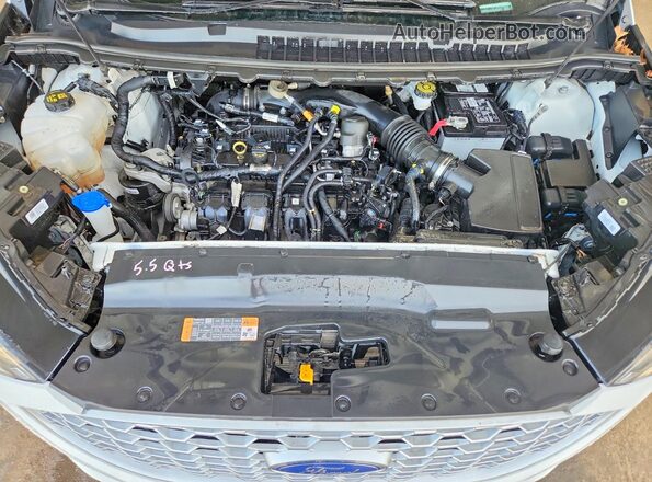 2FMPK4J91RBA69672 2024 FORD EDGE White Engine compartment view