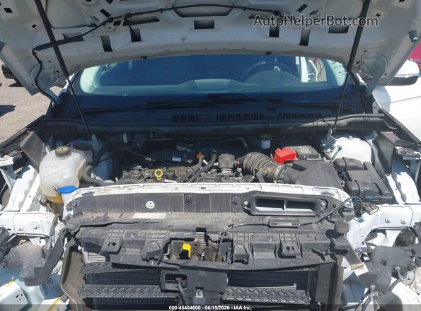 2FMPK4J99LBA83083 2020 FORD EDGE White Հետևի տեսք