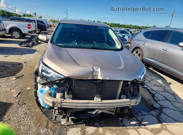2FMPK4K90MBA20938 2021 FORD EDGE Tan Widok z przodu