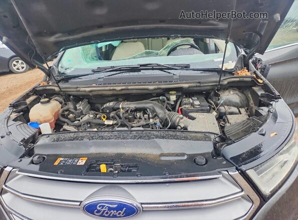 2FMPK4K9XHBC17217 2017 FORD EDGE Gray Շարժիչի բաժամունքի տեսք