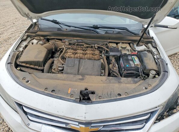 2G1115S3XG9103005 2016 CHEVROLET IMPALA Белый Вид задней части салона
