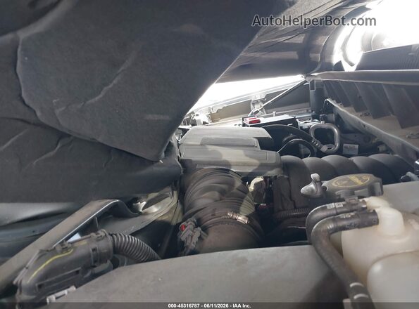 2GCPADED1S1118984 2025 CHEVROLET SILVERADO Gray Հետևի տեսք