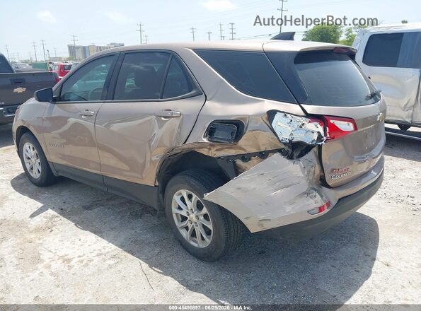 2GNAXHEVXK6263388 2019 CHEVROLET EQUINOX Brown Հետևի ձախ