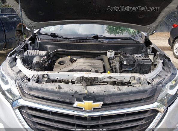 2GNAXKEV7K6247341 2019 CHEVROLET EQUINOX Silver Հետևի տեսք