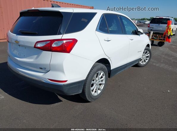 2GNAXKEV8K6190003 2019 CHEVROLET EQUINOX White Tył prawy