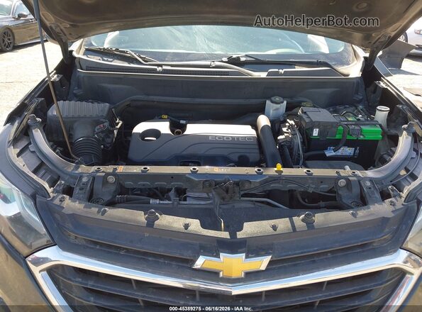 2GNAXKEVXK6197230 2019 CHEVROLET EQUINOX Коричневый Вид сзади
