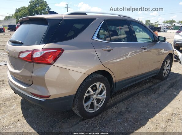 2GNAXLEX2K6130600 2019 CHEVROLET EQUINOX Champagne Հետևի աջ