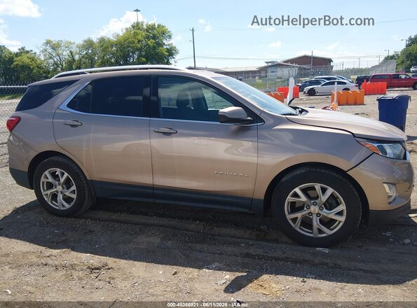 2GNAXLEX2K6130600 2019 CHEVROLET EQUINOX Champagne Սալոնի հետևի տեսք