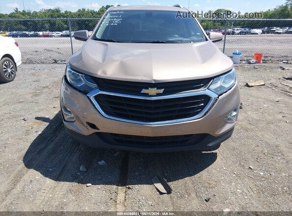 2GNAXLEX2K6130600 2019 CHEVROLET EQUINOX Champagne Դիմացի տեսք