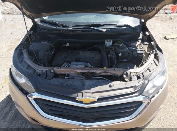 2GNAXLEX2K6130600 2019 CHEVROLET EQUINOX Champagne Հետևի տեսք