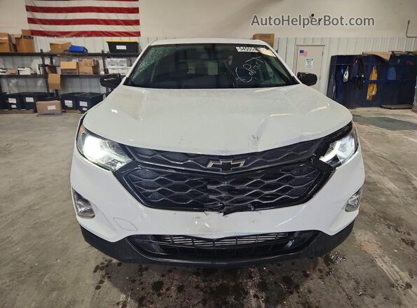 2GNAXLEX5K6290955 2019 CHEVROLET EQUINOX Белый 