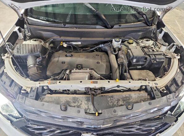 2GNAXLEX5K6290955 2019 CHEVROLET EQUINOX Белый 