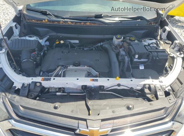 2GNAXLEX9K6140962 2019 CHEVROLET EQUINOX White Սալոնի հետևի տեսք