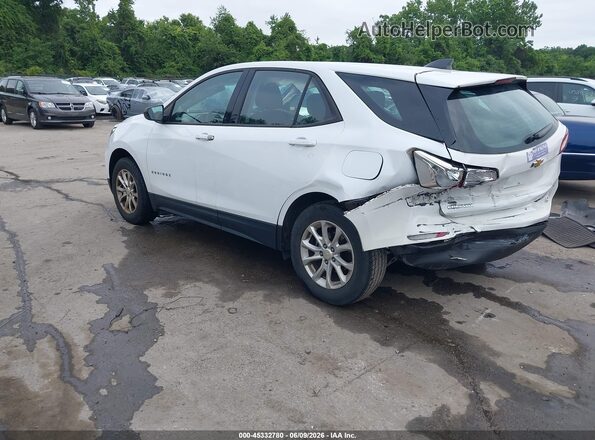 2GNAXSEV8K6110165 2019 CHEVROLET EQUINOX White Հետևի ձախ