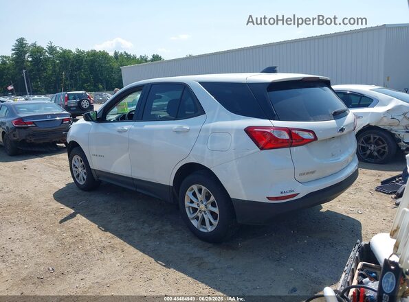 2GNAXSEV8K6267579 2019 CHEVROLET EQUINOX Белый Задняя левая четверть