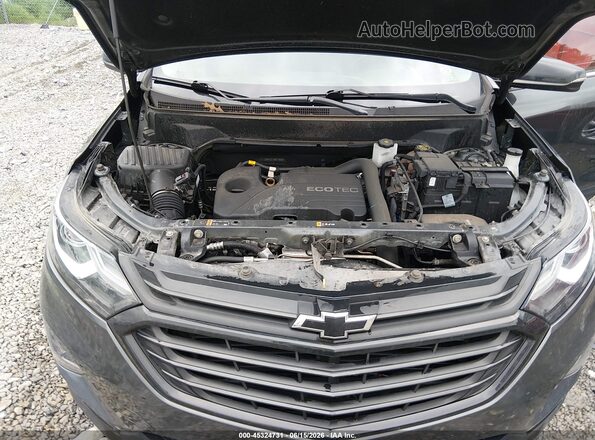 2GNAXUEV2M6119006 2021 CHEVROLET EQUINOX Pewter Вид ззаду
