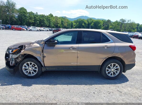 2GNAXUEV5K6167516 2019 CHEVROLET EQUINOX Gold 360 interior view