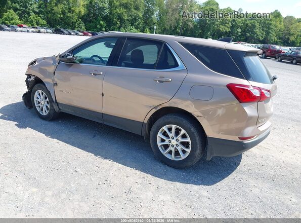 2GNAXUEV5K6167516 2019 CHEVROLET EQUINOX Gold Rear left