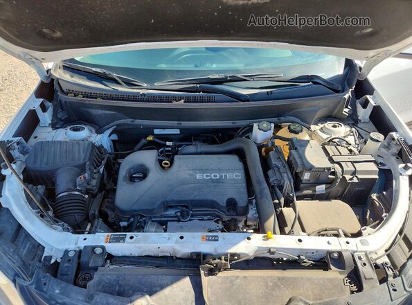 2GNAXUEV7K6185435 2019 CHEVROLET EQUINOX Белый Вид задней части салона