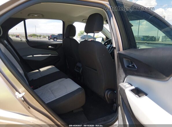 2GNAXUEVXK6189169 2019 CHEVROLET EQUINOX Gold VIN կոդի պիտակի տեսք