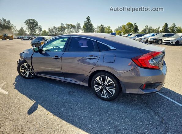 2HGFC1F31HH652434 2017 HONDA CIVIC Gray უკანა მარცხენა