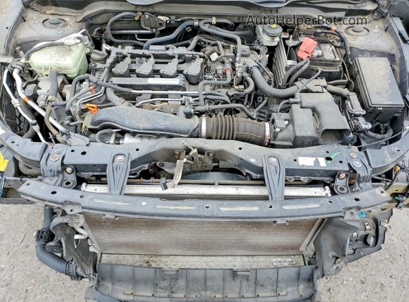 2HGFC1F71HH649892 2017 HONDA CIVIC Gray Widok wnętrza z tyłu