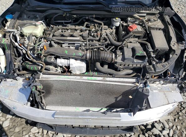 2HGFC1F76HH648043 2017 HONDA CIVIC Black Սալոնի հետևի տեսք