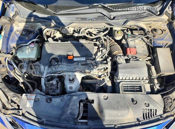 2HGFC2F55HH036596 2017 HONDA CIVIC Blue Սալոնի հետևի տեսք