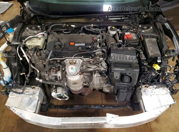 2HGFC2F55HH512989 2017 HONDA CIVIC Purple Widok wnętrza z tyłu