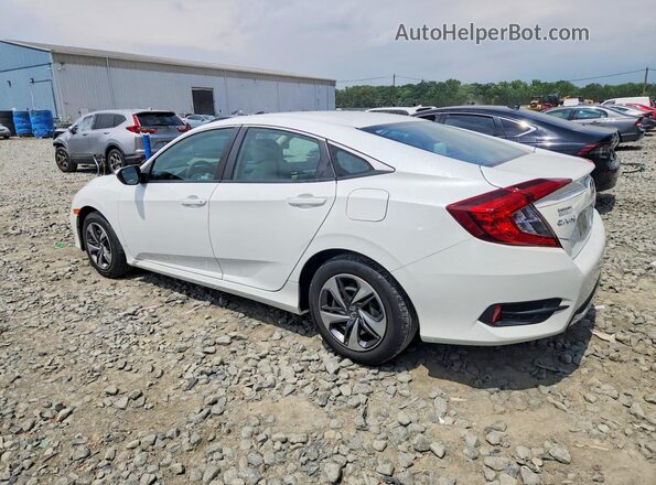 2HGFC2F61MH559519 2021 HONDA CIVIC White Հետևի ձախ