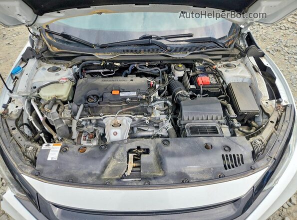 2HGFC2F61MH559519 2021 HONDA CIVIC White Սալոնի հետևի տեսք