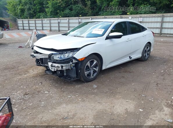 2HGFC2F66LH558039 2020 HONDA CIVIC Белый Передняя левая четверть