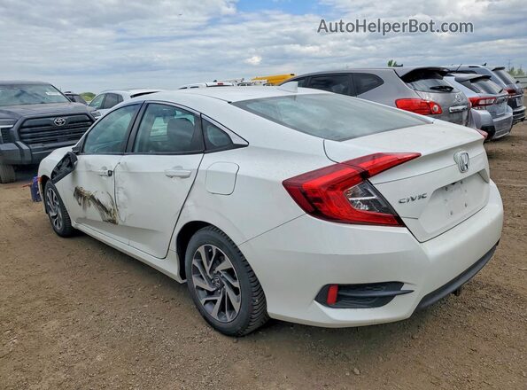 2HGFC2F72HH536006 2017 HONDA CIVIC White Հետևի ձախ