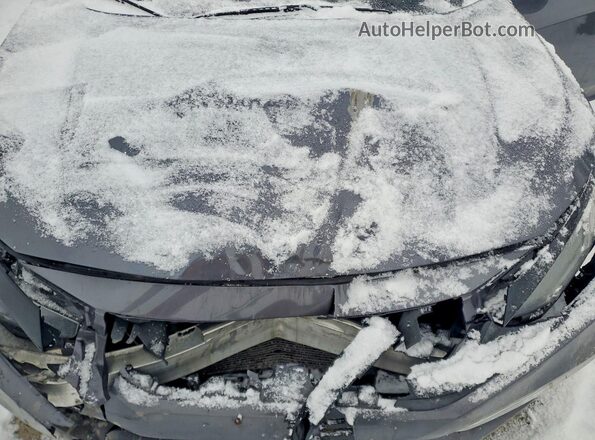 2HGFC2F74KH035643 2019 HONDA CIVIC Серый Вид задней части салона