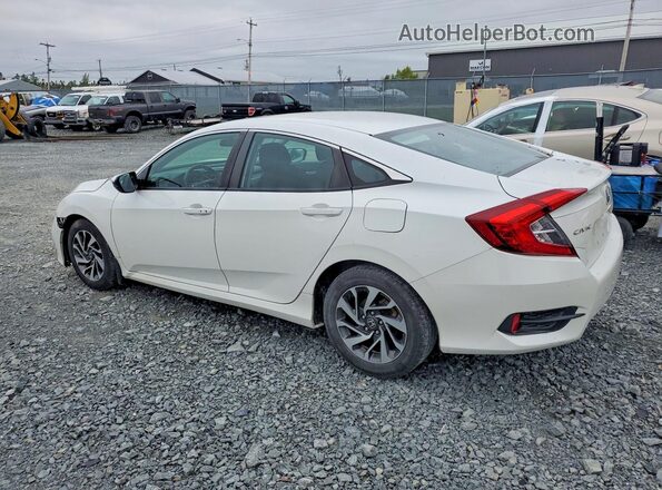 2HGFC2F74LH019105 2020 HONDA CIVIC White Задня ліва чверть