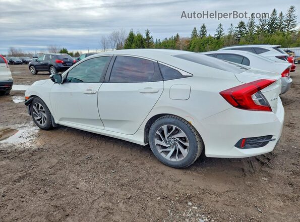 2HGFC2F80HH007713 2017 HONDA CIVIC Белый 