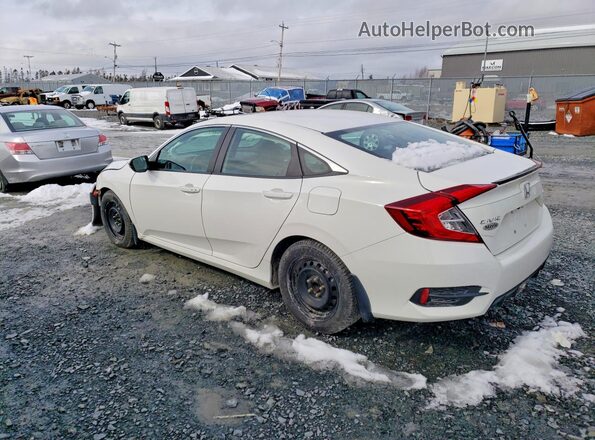 2HGFC2F85LH007313 2020 HONDA CIVIC White უკანა მარცხენა