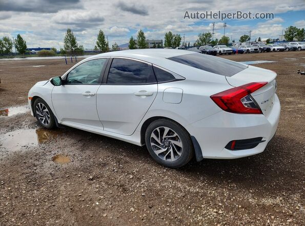 2HGFC2F88HH006132 2017 HONDA CIVIC Белый Задняя левая четверть