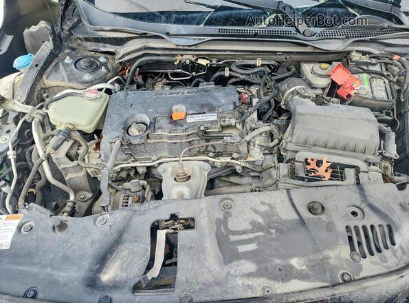 2HGFC4A57HH310755 2017 HONDA CIVIC Black Սալոնի հետևի տեսք
