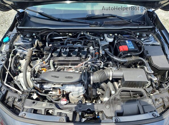 2HGFE1F77RH322537 2024 HONDA CIVIC Gray Вид задньої частини салону