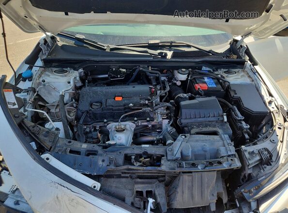 2HGFE2F54PH559682 2023 HONDA CIVIC White Սալոնի հետևի տեսք