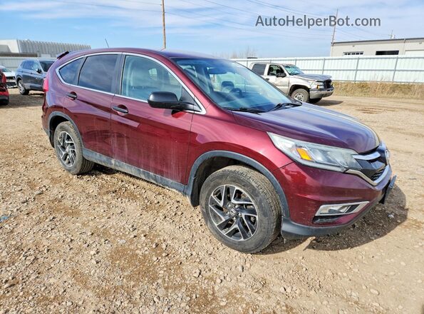 2HKRM4H46GH619595 2016 HONDA CR-V Maroon Передня права чверть
