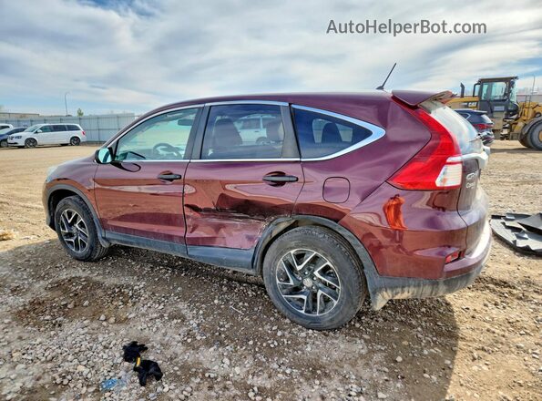 2HKRM4H46GH619595 2016 HONDA CR-V Maroon Задня ліва чверть