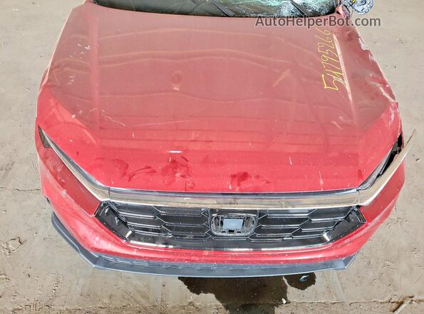 2HKRS3H42SH336541 2025 HONDA CR-V Red Вид задньої частини салону